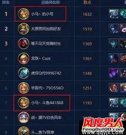 马彦毅资料,探索艺术与生活的跨界融合之路