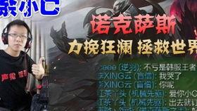 马彦毅资料,探索艺术与生活的跨界融合之路