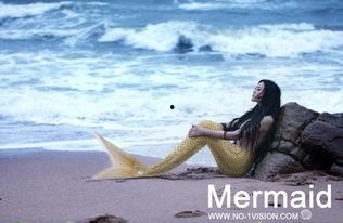 照片美人鱼,海洋奇遇记