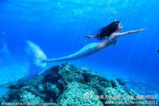 照片美人鱼,海洋奇遇记
